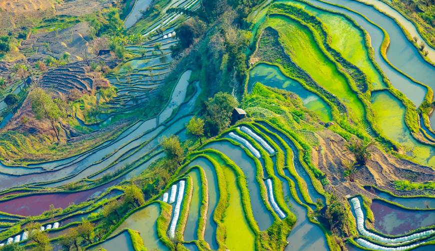 宝妈必备神器：新巴尔虎左旗产品视频拍摄轻松育儿好帮手